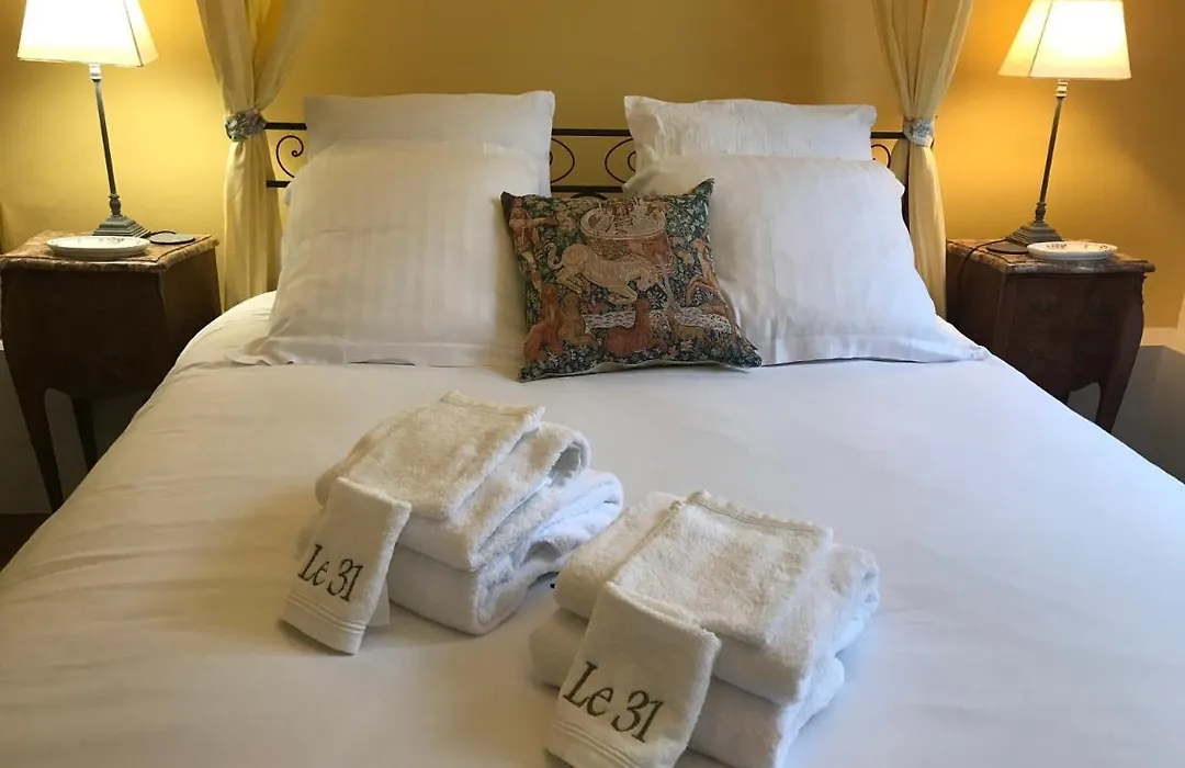Le 31 B&B Amboise Centre-1